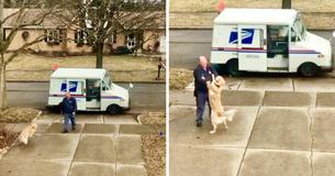 Hond wacht elke dag buiten om zijn postbode te knuffelen