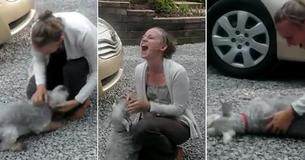 Une chienne excitée s'est effondrée de joie lorsqu'elle a retrouvé sa propriétaire après deux ans de séparation