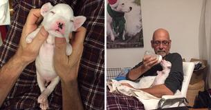 Un père adoptif donne une seconde chance à un chiot né sans pattes avant