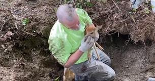 First Responders Rescue Fawn That Managed To Fall Down A Hole