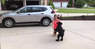 Nurse Reunited With Her Dog After A Month Of Being Separated From Each Other