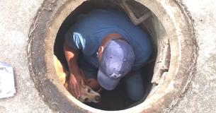 Rescuer Gives Scared Dog Trapped Inside Sewer Comforting Hug Before Helping Him To Safety