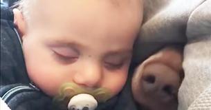 Video Shows Kids And Their Dog BFFs Having Awesome Times—Becomes Internet Sensation