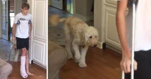Adorably Sympathetic Dog Hilariously Mimics Kid's Broken Leg Walk