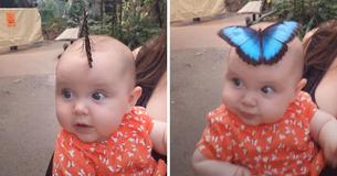 Un joli papillon atterrit sur la tête de ce bébé ; un moment magique qui fait sensation sur Internet
