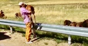 Motorist Lifts Baby Horse Over Fence To Return It To Its Mother After Getting Stuck