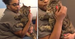 Planet's ‘Chonkiest’ Cat Is Looking For Someone Willing To Care For Him