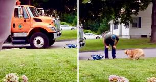 Un homme filme furtivement un éboueur qui s'approche de son Golden Retriever