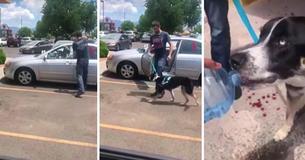 Un étranger libère un chien en détresse en train d'étouffer dans une voiture et attend de confronter son propriétaire
