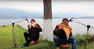 Deux frères offrent un moment musical relaxant en interprétant "Hallulujah" à la flûte de Pan
