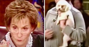 La juge Judy laisse un chien en liberté dans la salle d'audience pour choisir son vrai propriétaire