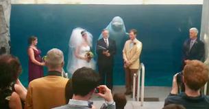 Des invités agréablement surpris par un béluga lors d'un mariage à l'aquarium