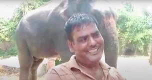 Man Pledges Over Six Acres Of Land To Two Treasured Elephants In Order To Guarantee They Aren't Hungry
