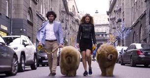 Tibetan Mastiffs — The Two-Hundred Pound 'Bear Dog' Breed