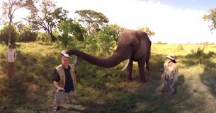 Elephant Casually Snags Tour Guide's Hat — Puts It On Its Own Head