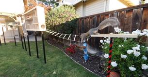 Former NASA Engineer Constructs Impressive Obstacle Course For Squirrels That Take Birdseed