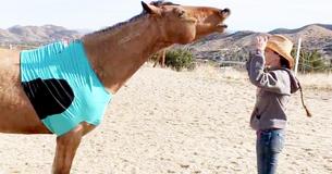 Une femme lance un tout nouveau défi en incluant son cheval dans sa routine de danse