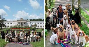 Dog Walker Enjoys Taking Adorable Group Pictures Of His Furry Clients Every Day