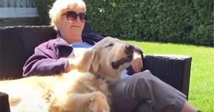 Charismatic Senior Dog Grabs Leash To Visit BFF