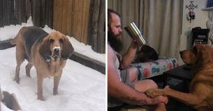 Un petit ami attentionné travaille tout le week-end pour donner à sa petite amie un jardin pour son chien de refuge