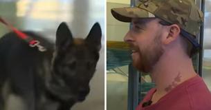 Hond rent in de armen van soldaat na drie jaar gescheiden te zijn