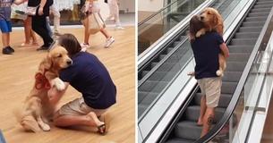 Dog Is Too Frightened To Step Onto An Escalator — Owner Carries Him Like A Baby