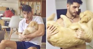 Golden Retriever Has Loved Being Rocked Like A Baby Since She Was A Puppy