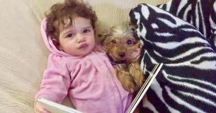 Little Girl Reads Her Dog Bedtime Story Before They Go To Sleep