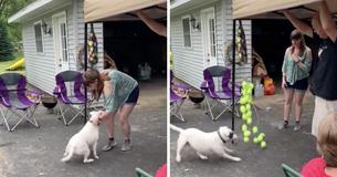 Mom Treats Her Dog To A Custom Piñata That’s Filled With Tennis Balls