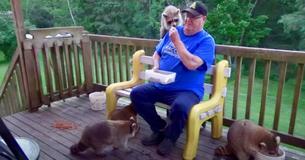 Sixty-Year-Old Takes Plethora Of Wild Racoons Under His Wing