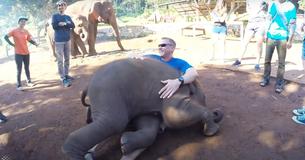 Hugs From A Baby Elephant? Don't Mind If We Do