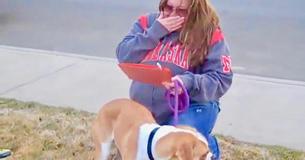 Alors que son adoptant ne se présente pas, une femme décide de ramener un chien de refuge chez elle