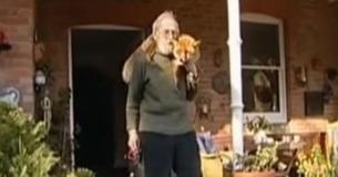 Sick Fox Nursed Back To Health By Warmhearted Man