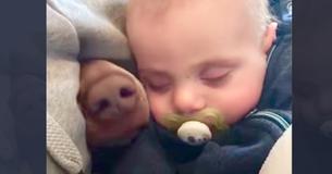 Mama filmt schlafendes Baby - daneben taucht eine pelzige Nase auf
