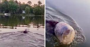 Boaters Save Young Bear Swimming With Plastic Tub Stuck On His Head