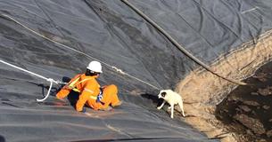 Workers Rescue Dog And Her Puppy Trapped In A Water Pit