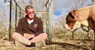 Vernachlässigter Hund wurde gerettet, nachdem er fünfzehn Monate allein auf der Obstplantage verbrachte