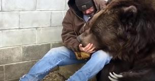 Un ours reçoit le câlin humain dont il avait besoin après une longue journée