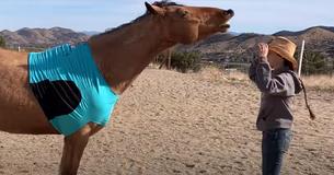 Une femme lance un nouveau défi Git Up en incluant son cheval dans la routine