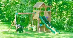 Mama Bear Invites Her Five Cubs To Play On Backyard Swing Set