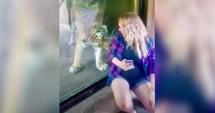 Vrouw filmt zwangere vriendin die selfie met tijger neemt  en legt het moment vast waarop de katachtige de zwangere buik ontdekt