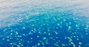 Drone Footage Films 64,000 Sea Turtles Swimming Near The Great Barrier Reef