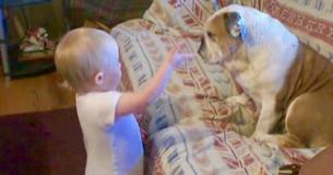 Baby heeft boeiend gesprek met haar geduldige buldog