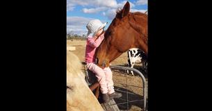Paard wordt verliefd op 3-jarig meisje als hij haar hoort zingen