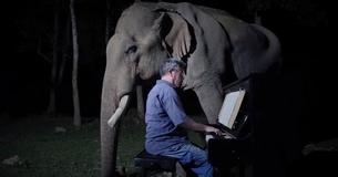 61-Year-Old Elephant Serenaded By Concert Pianist With 'Moonlight Sonata'