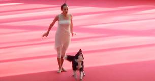 La danse passionnée d'une femme et d'une chienne obtient l'appréciation des internautes