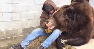 Man Comforts Bear After A Long Day And Gains Internet Fame