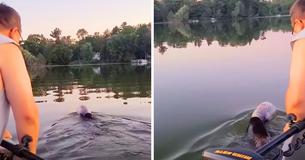 Family Frees Bear Swimming In Lake With Plastic Container On Its Head