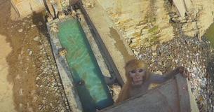 Wild Macaque Monkeys Have Fun High Diving Into Fountain