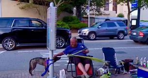 Une chienne d'assistance s'effondre dans les bras de son propriétaire après avoir été volée